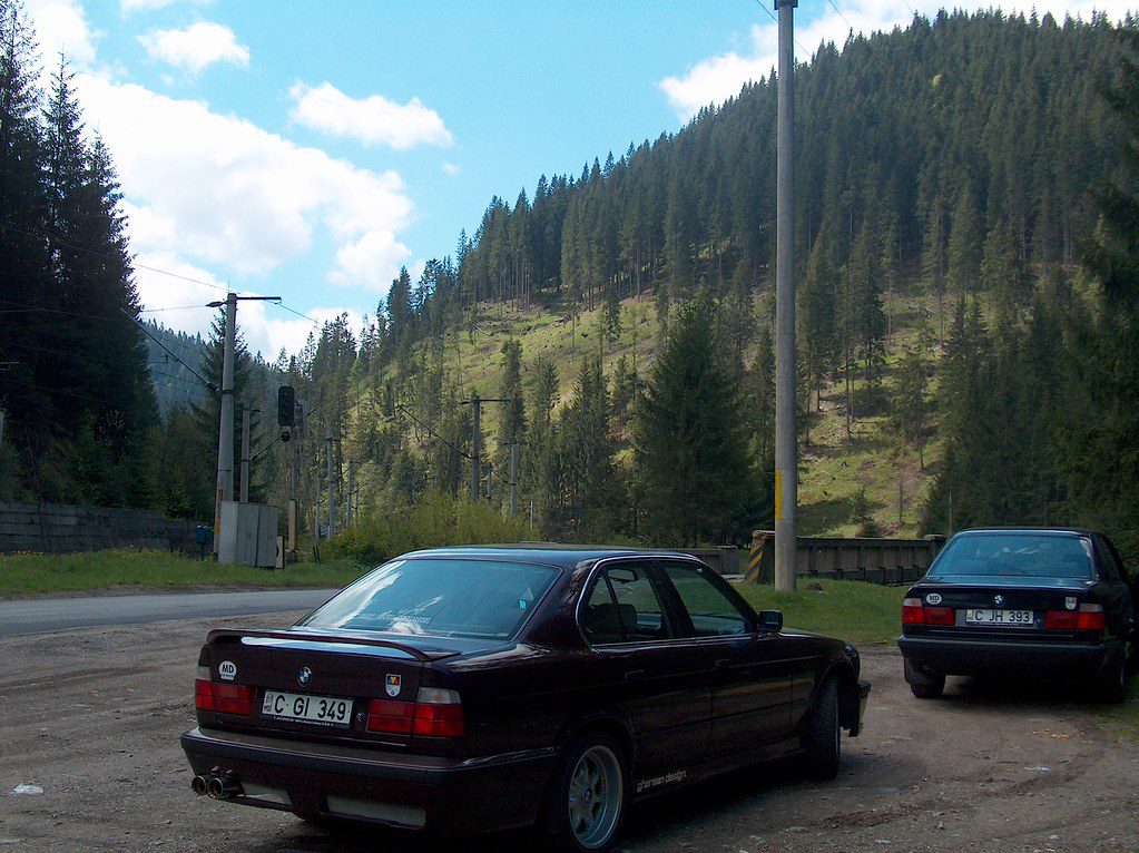 Европейский фестиваль, Венгрия 2004